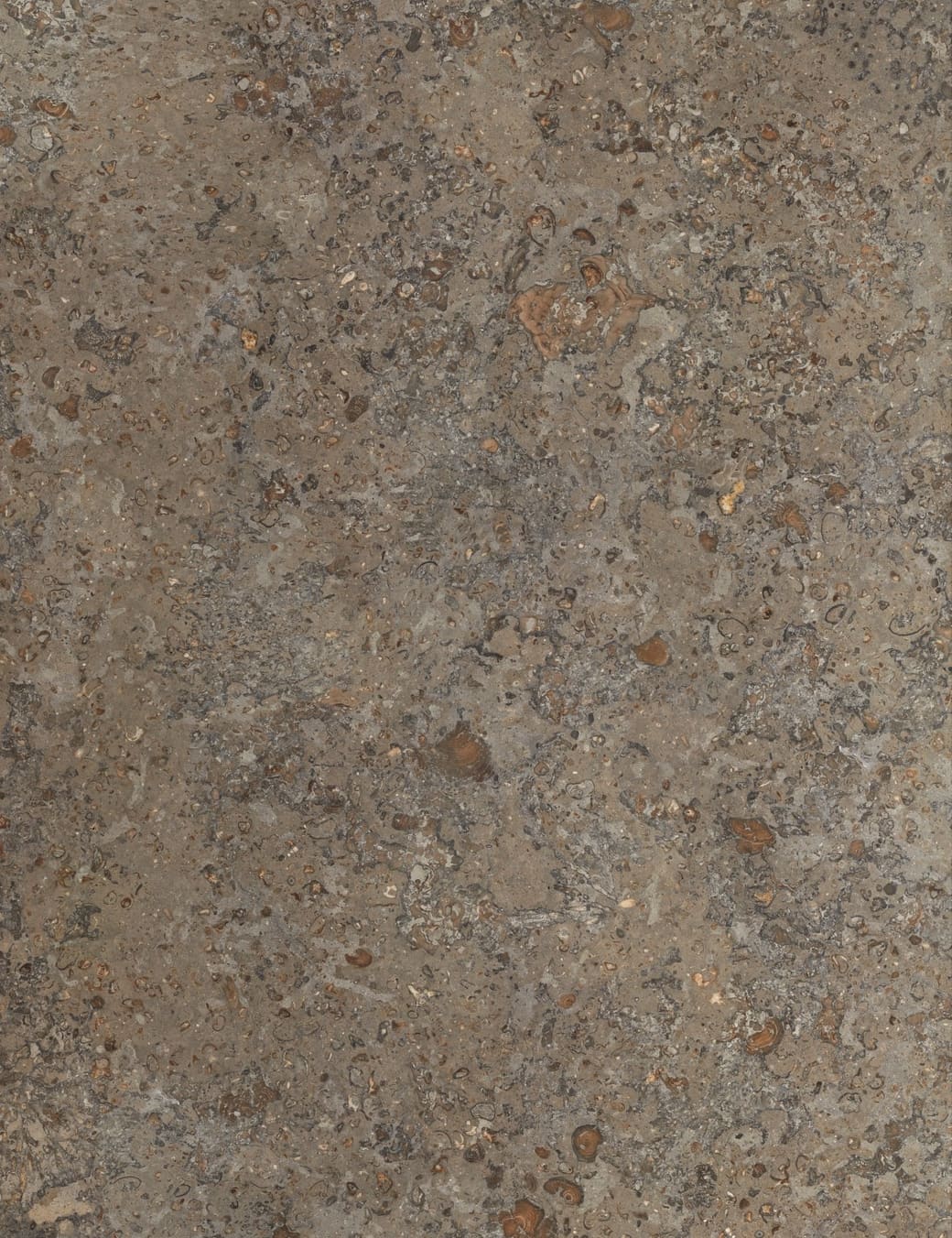 Close-up of Atlantic Blue limestone, with small fossil marks across the surface